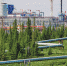 В недра на автомате - Usinsk.In